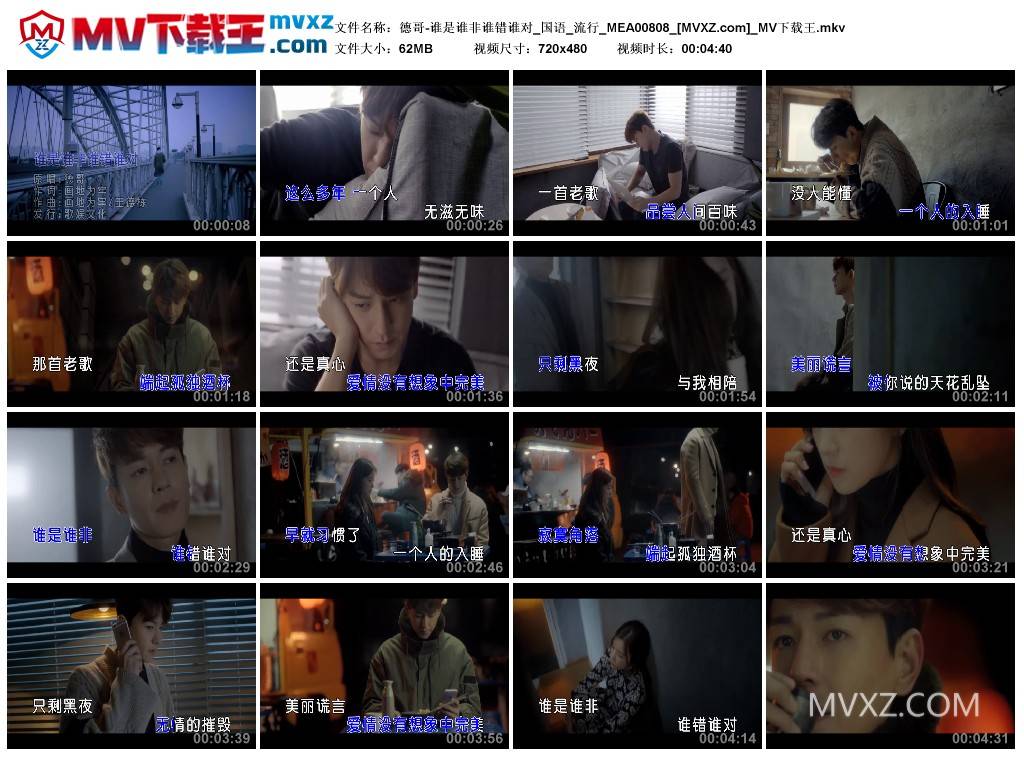 德哥-谁是谁非谁错谁对_国语_流行_MEA00808